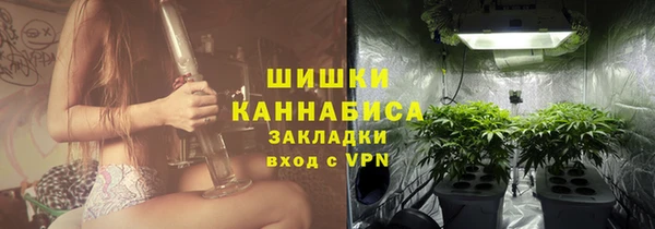 PSILOCYBIN Балабаново